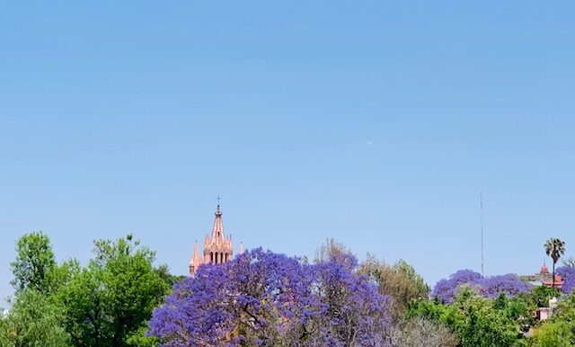 IMG_6631 (1)
