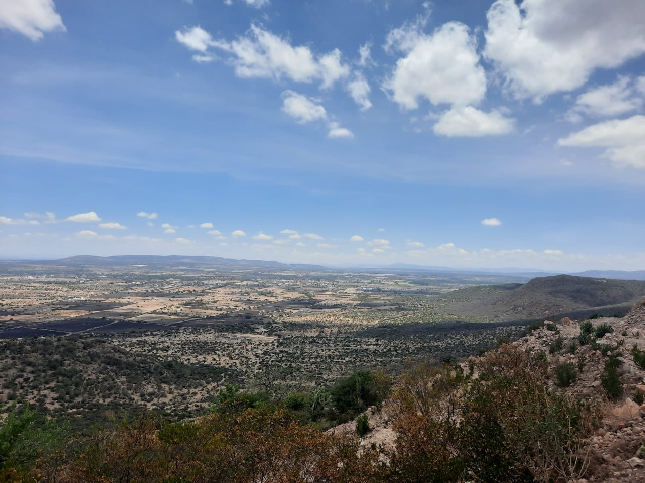 Terreno Parte Alta Alcocer
