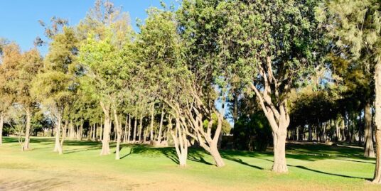 “LOTE EN CLUB DE GOLF  MALANQUIN”    $190,000 USD