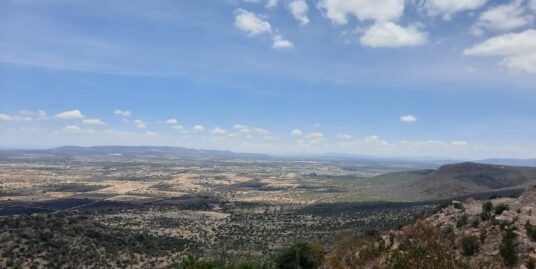 Terreno Parte Alta Alcocer
